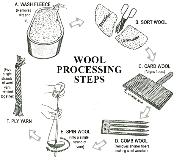 Diagram of six Wool processing steps - 'A' through 'F':
WASHING, SORTING, CARDING, COMBING, SPINNING, PLYING. 
